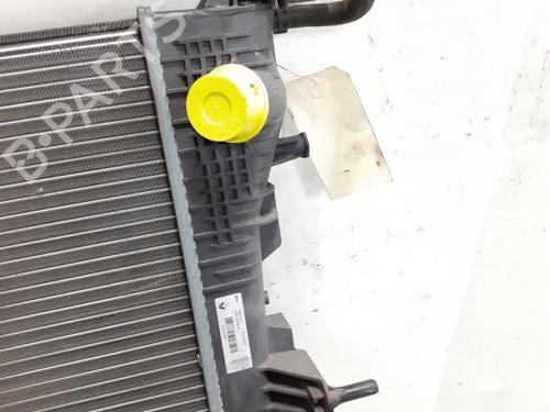 Køler RENAULT MEGANE III Hatchback (BZ0/1_, B3_) 1.5 dCi (BZ09, BZ0D, BZ1W, BZ29, BZ14) (110 hp) 24782071