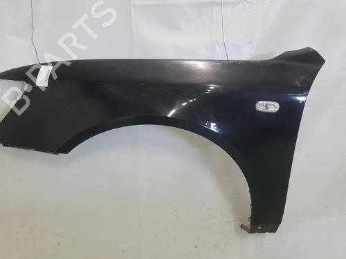Used Left front fenders HYUNDAI SONATA V (NF) 2.0 CRDi (140 hp) 24780204