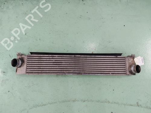 Intercooler CITROËN JUMPER II Van 2.2 HDi 100 | BP24785902M30