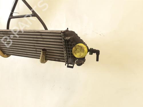 Used Intercooler Intercooler FORD C-MAX II (DXA/CB7, DXA/CEU) 1.6 EcoBoost (182 hp) 24793840 24793840