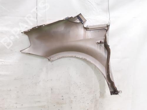 Right front fenders LANCIA MUSA (350_) 1.3 D Multijet (350.AXB11, 350.AXB1A) | BP24797413C42 