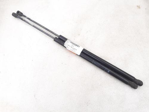 Used Tailgate lift support FIAT QUBO (225_) 1.4 (225AXA1A) (73 hp) 24795281