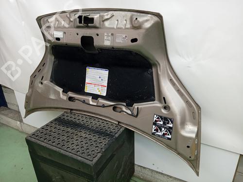 Used Hood Hood CITROËN NEMO MPV 1.4 HDi (68 hp) 33660677 33660677