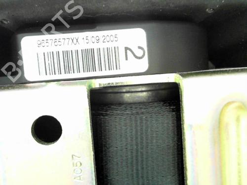 Used Rear left belt tensioner PEUGEOT 407 Coupe (6C_) 2.7 HDi (204 hp) 24778274