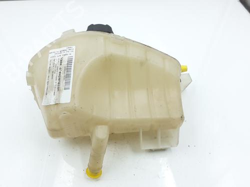 expansion-tank-renault-kangoo-express-fw01_-2008-24797794 main image