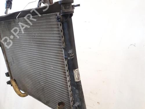 Water radiator FORD FIESTA V (JH_, JD_) 1.4 16V | BP24791356M31