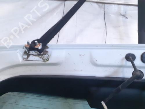 Used Tailgate Tailgate 28813909 28813909