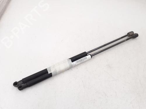 Tailgate lift support FIAT BRAVO II (198_) 1.6 D Multijet (198AXH1B) | BP24783643C138 