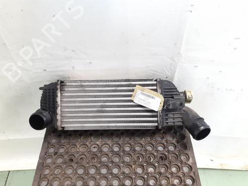 Used Intercooler PEUGEOT 508 SW I (8E_) 2.0 HDi RXH Hybrid4 (200 hp) 24781049