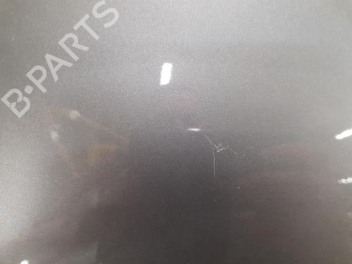 Left front fenders RENAULT MODUS / GRAND MODUS (F/JP0_) 1.2 16V (JP0W) | BP29893657C41