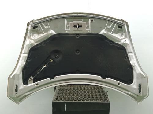 hood-suzuki-swift-iv-fz-nz-2010-37263431 main image