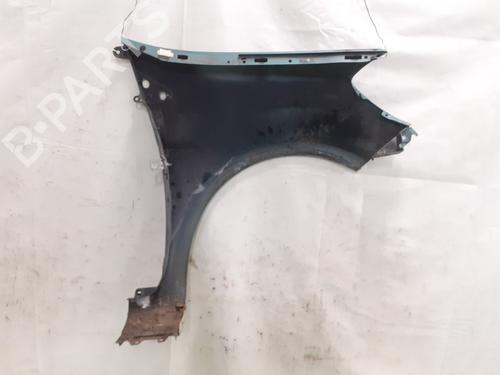 Left front fenders RENAULT CLIO III (BR0/1, CR0/1) 1.5 dCi (C/BR0G, C/BR1G) | BP24773175C41 