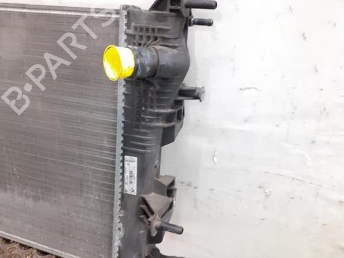 Køler RENAULT MEGANE III Hatchback (BZ0/1_, B3_) 1.5 dCi (BZ1G, BZ1W, BZ0R) (95 hp) 24784205