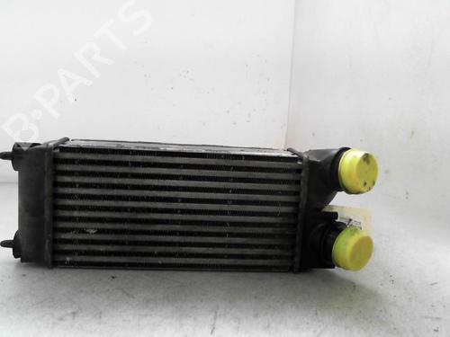 Intercooler PEUGEOT 308 SW I (4E_, 4H_) 1.6 HDi (90 hp) 24774922