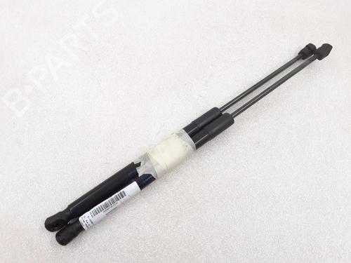 Used Tailgate lift support Tailgate lift support RENAULT CLIO III Grandtour (KR0/1_) 1.2 16V (103 hp) 24787746 24787746