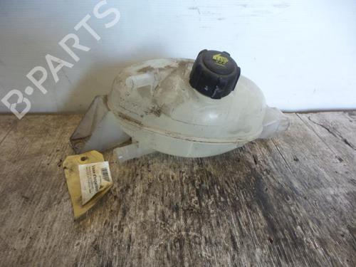 Ekspansjonstank RENAULT MASTER III Van (FV) 2.3 dCi 125 FWD (FV0C, FV0D, FV0G, FV0H, FV0J, FV0K,... (125 hp) 24777133