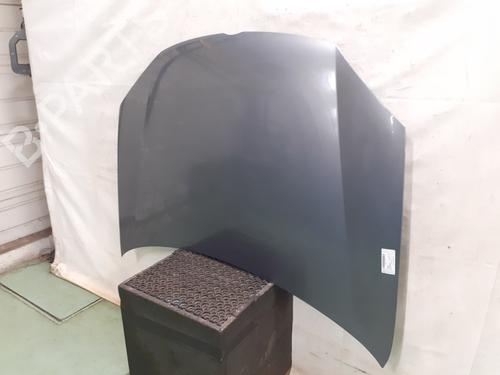 Used Hood Hood VW GOLF V (1K1) 1.9 TDI (105 hp) 33541158 33541158