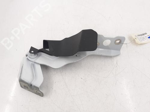 Hinge/Door check strap RENAULT MASTER III Platform/Chassis (EV, HV, UV) | BP32686527C146 - Image 2