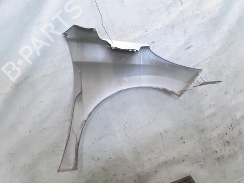 Left front fenders PEUGEOT 207 (WA_, WC_) 1.4 HDi | BP28216580C41 