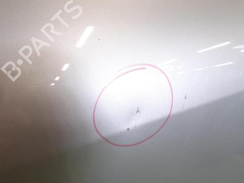 Left rear door RENAULT SCÉNIC III (JZ0/1_) 1.5 dCi | BP24795481C4 