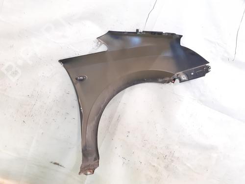 Left front fenders OPEL MERIVA A MPV (X03) 1.7 CDTI (E75) | BP25484232C41 