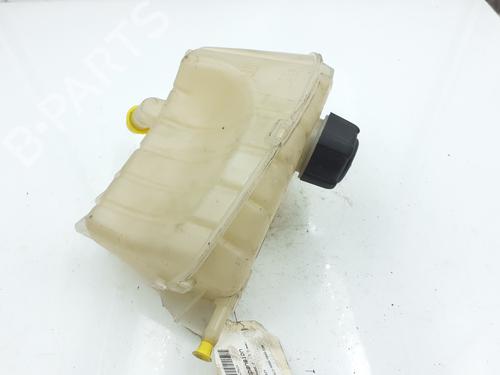 Expansion tank RENAULT KANGOO Express (FW0/1_) 1.5 dCi 80 (FW15) | BP27702082C120 