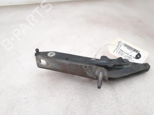 Hinge/Door check strap LAND ROVER RANGE ROVER SPORT I (L320) 3.6 D 4x4 | BP24793040C146 
