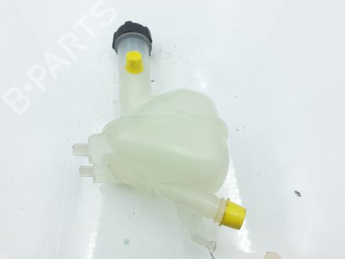 Used Expansion tank RENAULT CAPTUR II (HF_) [2020-2025]  24797210