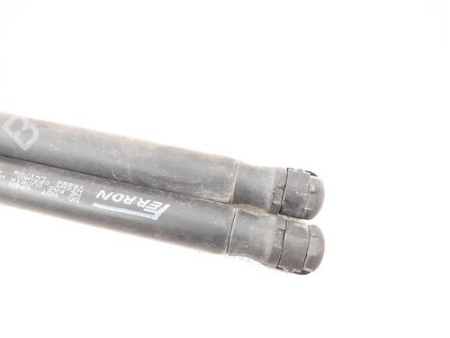 Used Tailgate lift support RENAULT SCÉNIC II (JM0/1_) 1.9 dCi (125 hp) 24787549