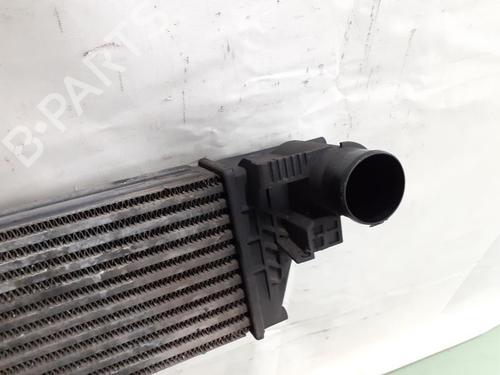 Used Intercooler RENAULT LAGUNA II (BG0/1_) 1.9 dCi (BG1A, BG1W, BG0G) (110 hp) 24782030
