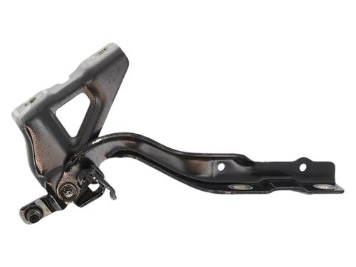 hingedoor-check-strap-dacia-duster-hm_-2017-37742202 main image