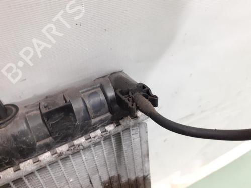 Water radiator PEUGEOT EXPERT Van (VF3A_, VF3U_, VF3X_) 2.0 HDi 130 | BP24781342M31 