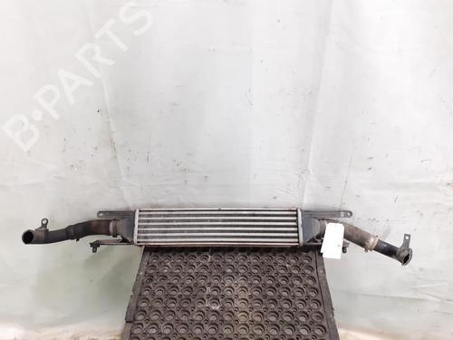 Used Intercooler FIAT GRANDE PUNTO (199_) 1.3 D Multijet (75 hp) 24783172