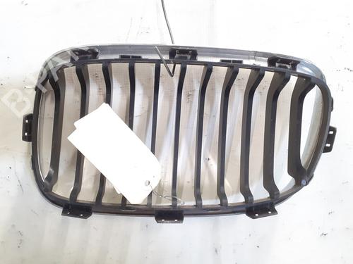 Grille BMW 1 (F20) 116 d | BP26706089C40