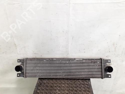 Intercooler RENAULT MASTER II Van (FD) 2.5 dCi 100 (FD0U, FD0V, FD3U, FD3V, FD8U, FD8V) | BP24783234M30 