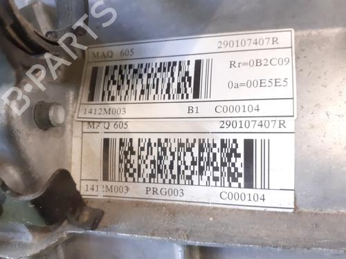 Engine RENAULT ZOE (BFM_)  | BP29925410M1