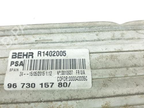 Used Intercooler Intercooler CITROËN DS4 (NX_) 2.0 BlueHDi 150 (150 hp) 24794736 24794736