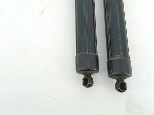tailgate-lift-support-citroen-c4-picasso-ii-2013-36583530 main image