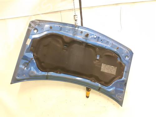 Hood RENAULT MEGANE II (BM0/1_, CM0/1_) 1.9 dCi (BM0G, CM0G) | BP24790362C1