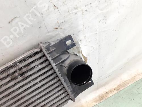 Intercooler RENAULT MASTER II Van (FD) 2.5 dCi 100 (FD0U, FD0V, FD3U, FD3V, FD8U, FD8V) | BP24783234M30 