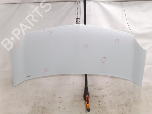 Used Hood RENAULT KANGOO / GRAND KANGOO II (KW0/1_) 1.5 dCi 90 (KW05, KW08, KW0G, KW11) (90 hp) 25436162