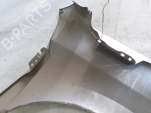 Left front fenders PEUGEOT 207 (WA_, WC_) 1.4 HDi | BP28216580C41 