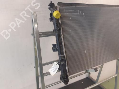 Water radiator RENAULT RAFALE Coupe (DGM_)  | BP36150949M31  - Image 5