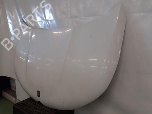 hood-citroen-ds4-nx_-2011-2012-2013-2014-2015-33309103 main image