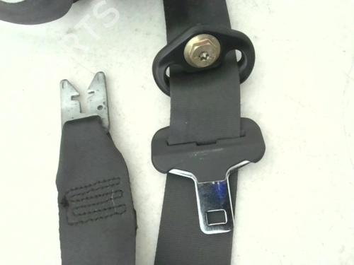 Front right belt tensioner RENAULT MEGANE II (BM0/1_, CM0/1_) 1.9 dCi (BM0G, CM0G) | BP24779100C88 