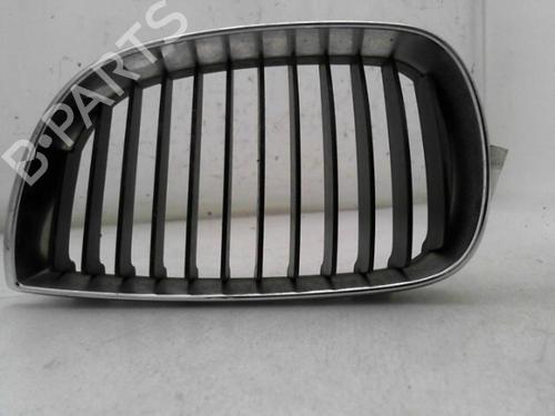 Used Grille BMW 1 (E87) 118 d (122 hp) 24775505