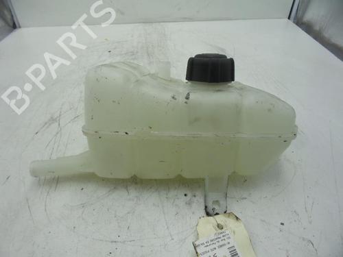 Expansion tank RENAULT ESPACE V (JR_) 2.0 Blue dCi 200 (JRAL) | BP24781592C120 