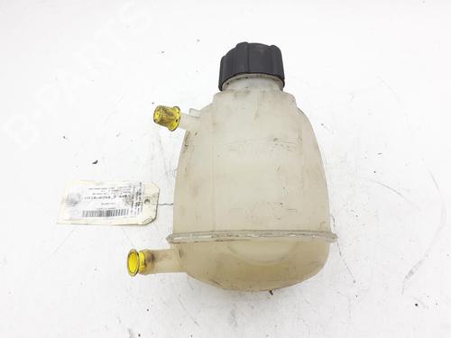 Ekpansionstank RENAULT SCÉNIC I MPV (JA0/1_, FA0_) 1.9 dCi (JA05, JA1F) | BP24788981C120 