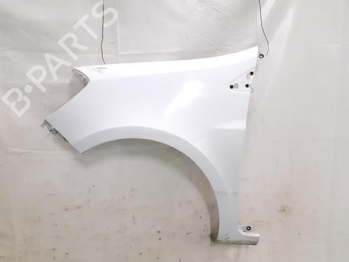 Used Left front fenders RENAULT CLIO III (BR0/1, CR0/1) 1.5 dCi (75 hp) 24791837