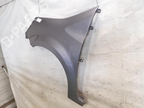 Left front fenders RENAULT MODUS / GRAND MODUS (F/JP0_) 1.2 16V (JP0W) | BP29893657C41